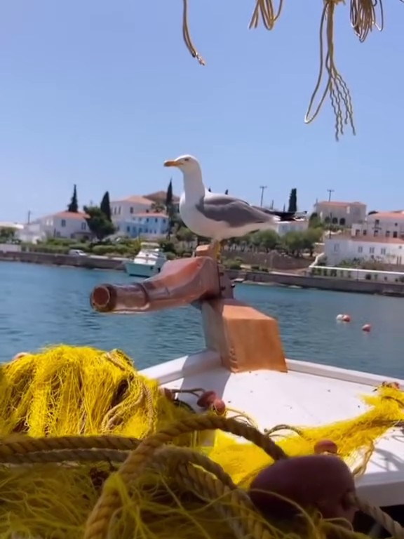 Spaces and amenities on our traditional boat